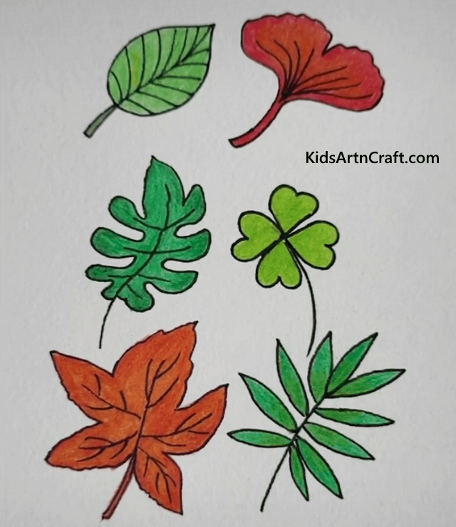 Colorful Leaves Drawing - Learn to Draw Tree, Plants and Leaf