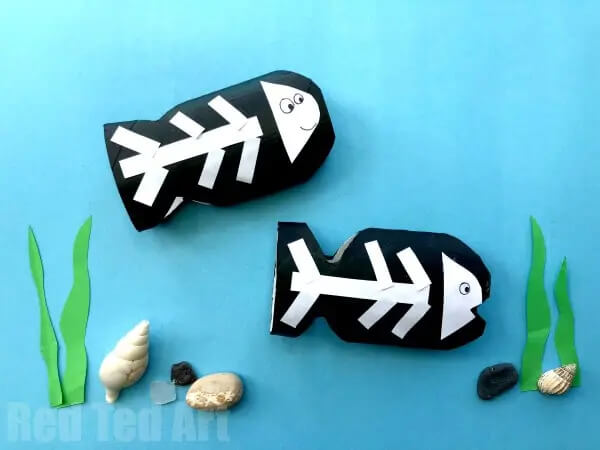 Underwater Sea Creatures Art and Craft Ideas for Kids Toilet Paper Roll X-Ray Fish Craft