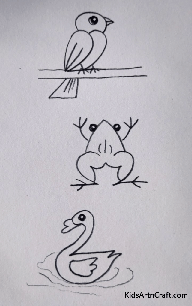 Simple Drawing Ideas For Kids Sparrow, Frog, Duck