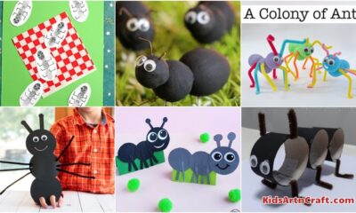 Ant Crafts & Activities for Kids