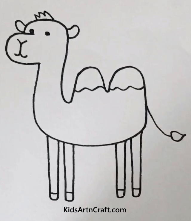 Easy Animal Drawings for Kids Two Humped-Camel
