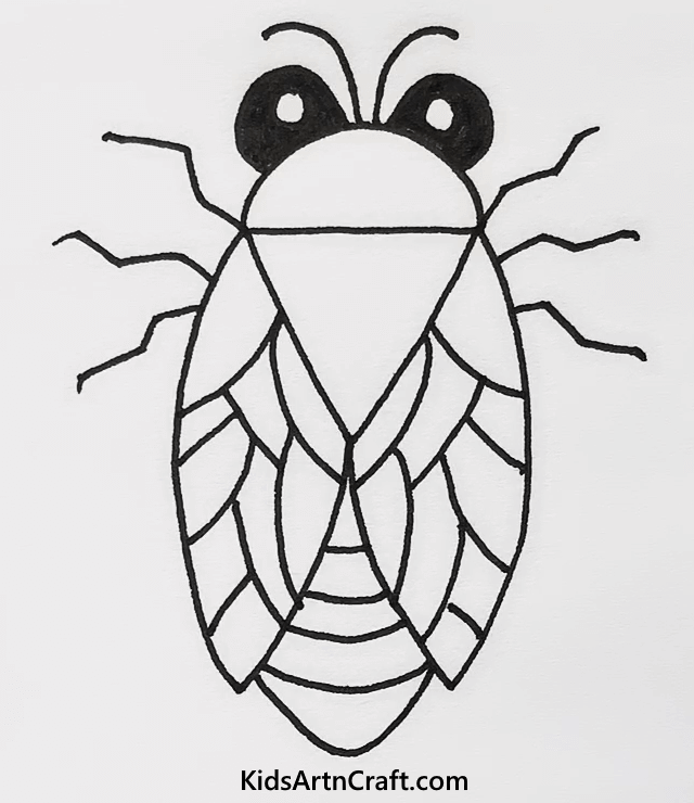 Easy Animal Drawings Cockroach Drawing