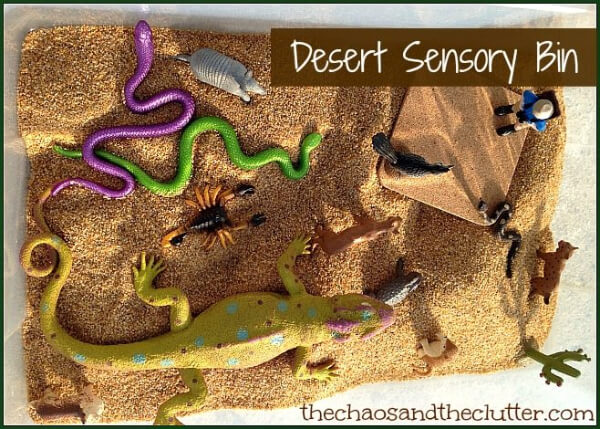 Desert Sensory Bin: A playful Learning Activity
