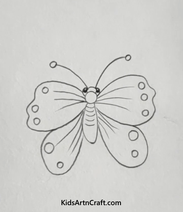 Easy Animal Pencil Drawings For Kids Butterfly