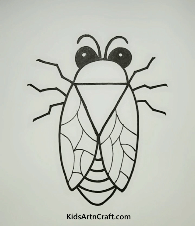 ANIMAL DRAWING IDEAS FOR KIDS Housefly