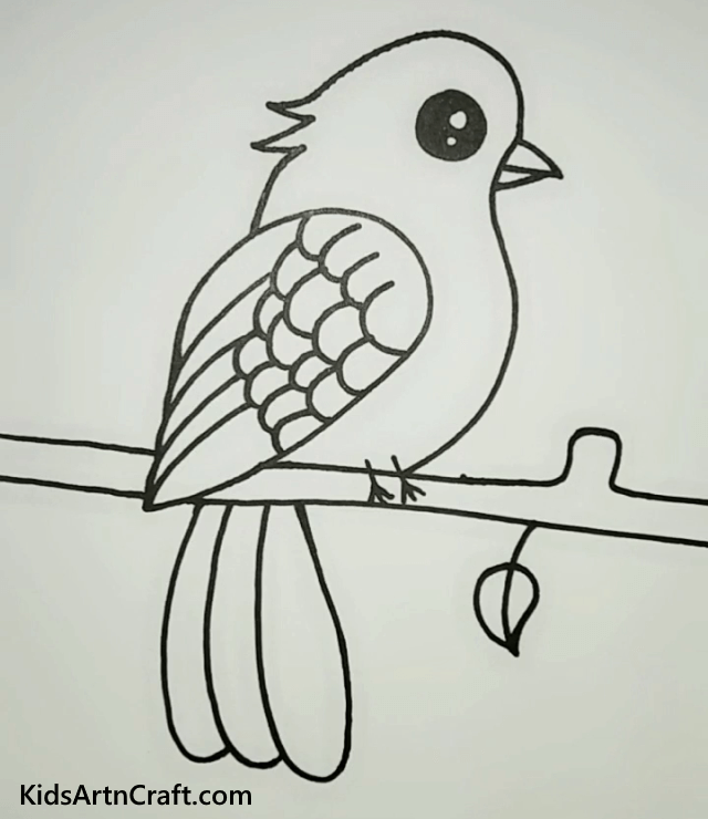  Beautiful Sparrow