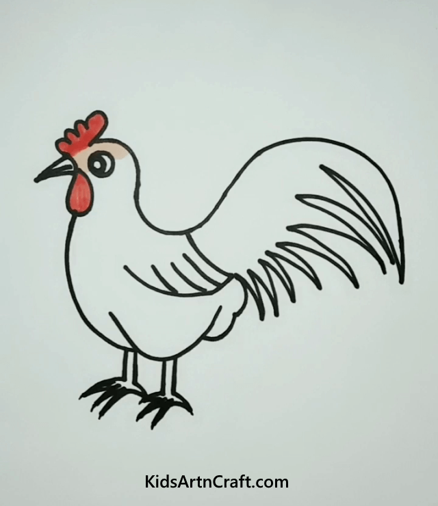 Healthy Rooster