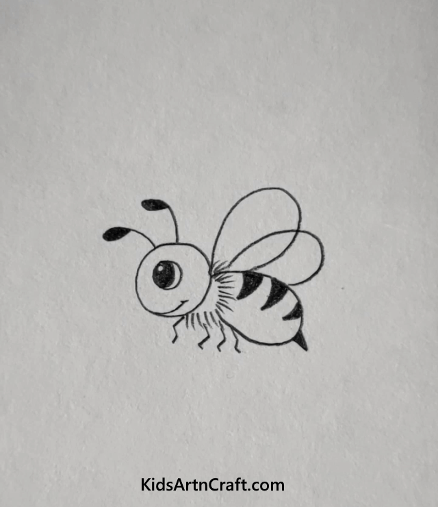 Easy Animal Pencil Drawings For Kids Housefly