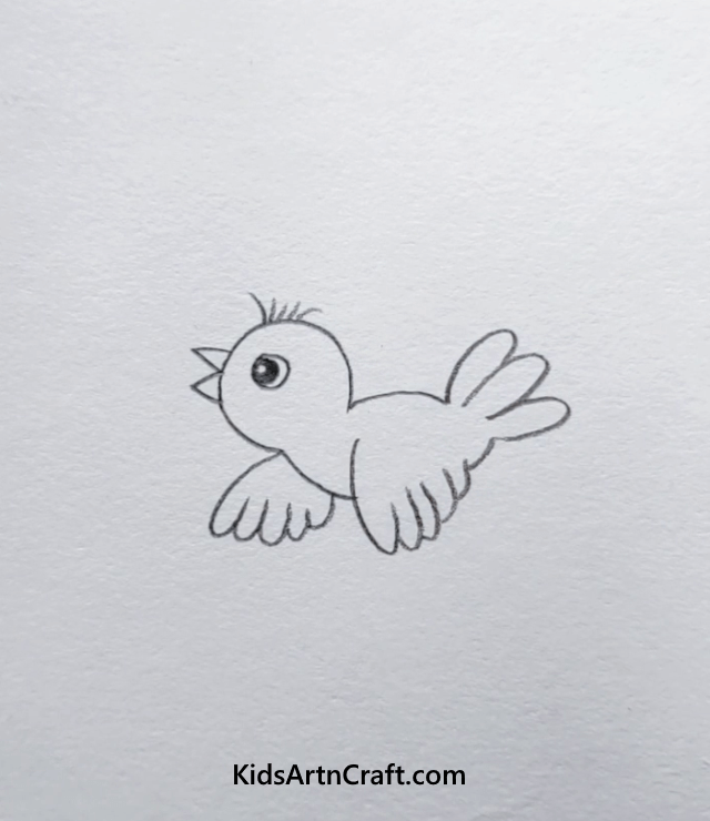 Easy Animal Pencil Drawings For Kids Bird
