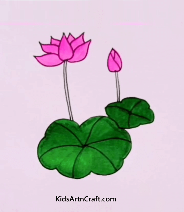 Cute Flower Drawing Ideas for Kids Draw A Lotus