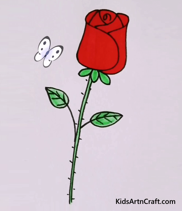 Draw A Rose