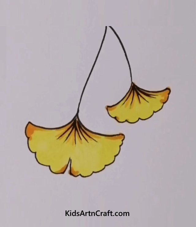 Draw A Ginkgo Leaf