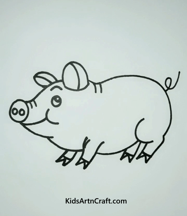  Animal Drawing For Kids Pig