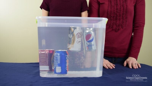 Floating And Sinking Pop Cans Science Experiment Amazing Science Projects for Grade 5 Students
