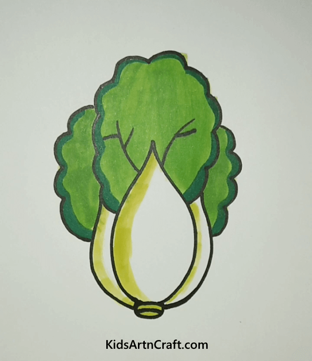 Drawing & Painting Inspirations from Nature Bok choy Lets Take Drawing Inspirations from Nature