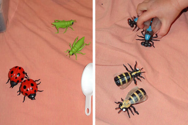 DIY Sensory Bins Craft With Insects 