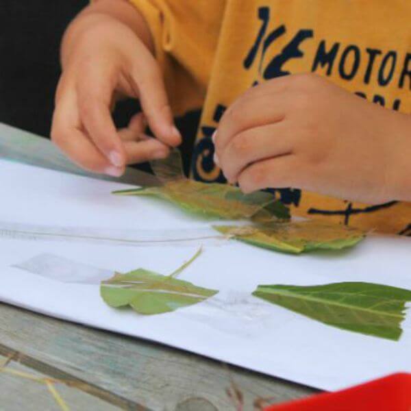 Easy To Make Leave Pasted To Paper Craft For Kids