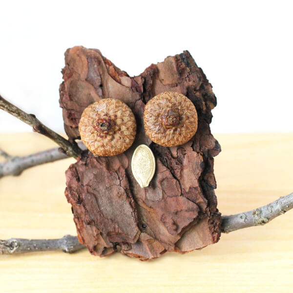 Easy Bark Owl Craft With Pumpkin Seed - Fun Projects Involving Owls for Youngsters 