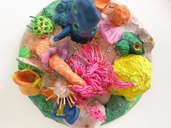  Coral Craft Ideas & Activities for Kids Clay Coral Reef Craft for Kids