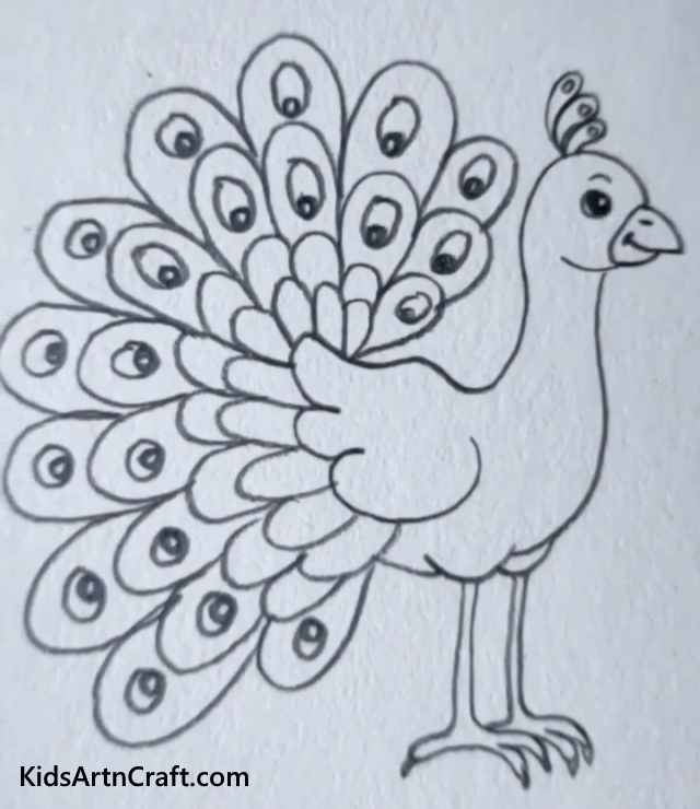 Beautiful Dancing Peacock Drawing For Kids