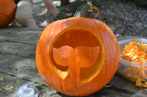 Beautiful Pumpkin Carving For Holloween 