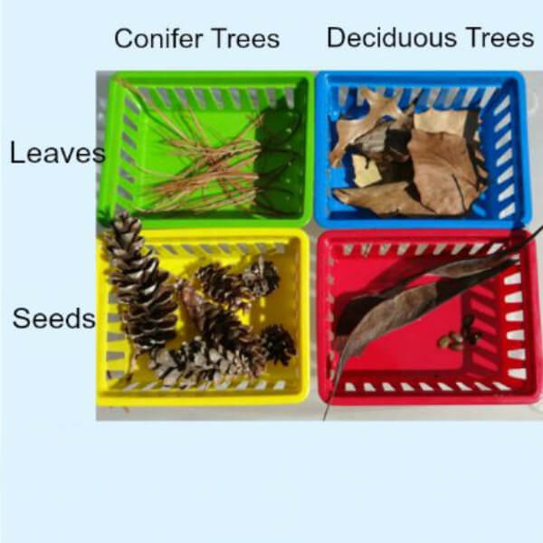 Fall STEM Ideas for Kids Fall Leaves Sorting Activities For Kids 