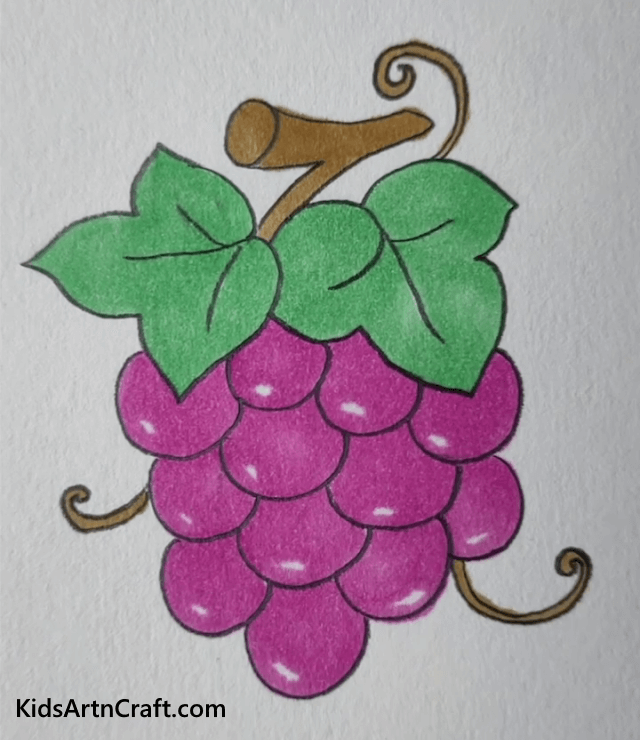 Drawing Ideas For Kids Black Grapes