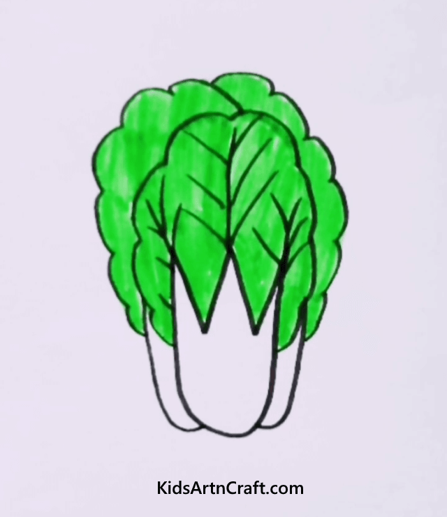 Chinese Cabbage Easy Eatable Drawing Ideas For Kids