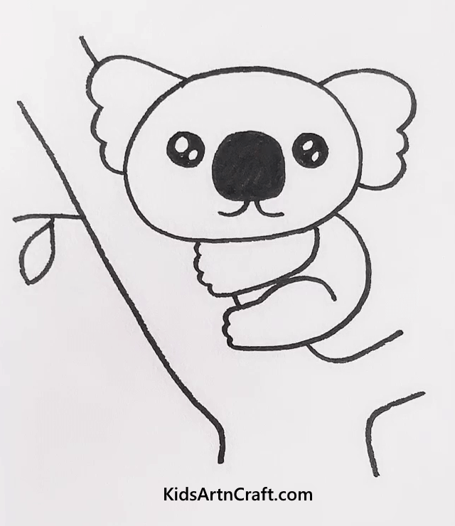 Beautiful Animal Drawings For Kids Koala