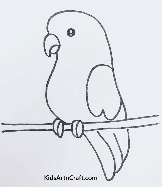 Baby Parrot