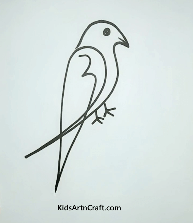 Learn to Make Easy Bird Drawings in Simple Steps Parrot drawing