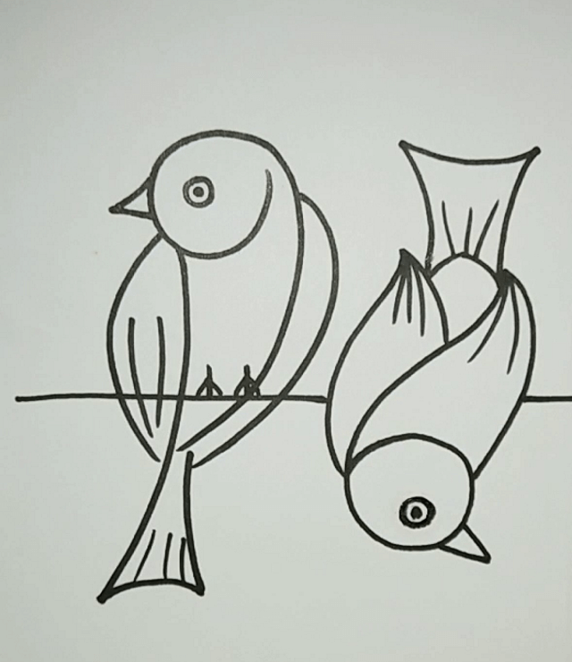 Drawing Ideas for Kids - Birds & Other Animals A Bird Upside Down