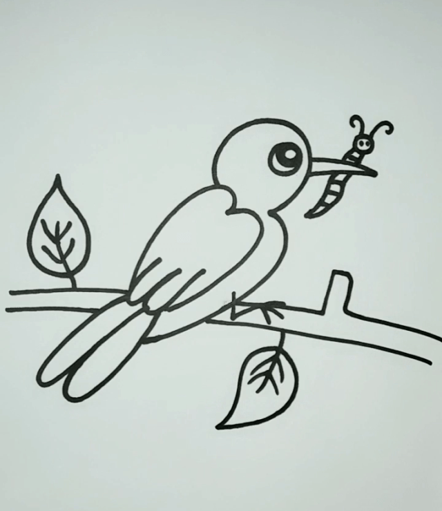 Drawing Ideas for Kids - Birds & Other Animals Bird And Insect
