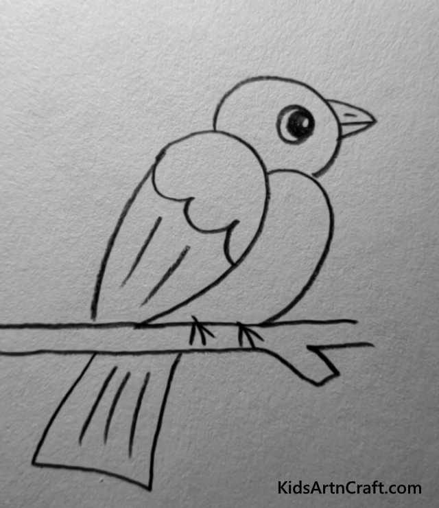 A Cute Parrot Drawing For Kids
