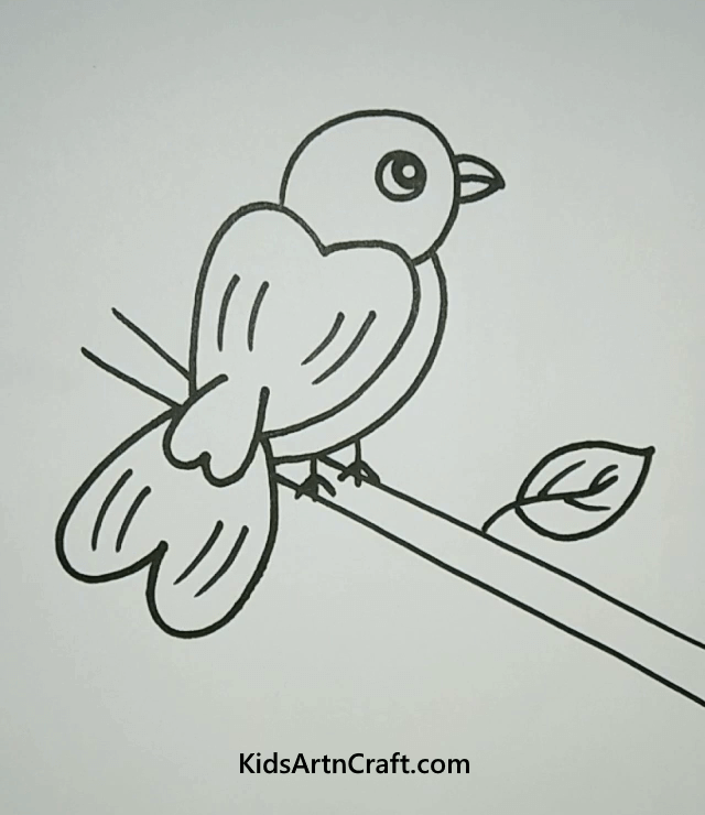 Learn to Make Easy Bird Drawings in Simple Steps Sparrow sitting on a branch