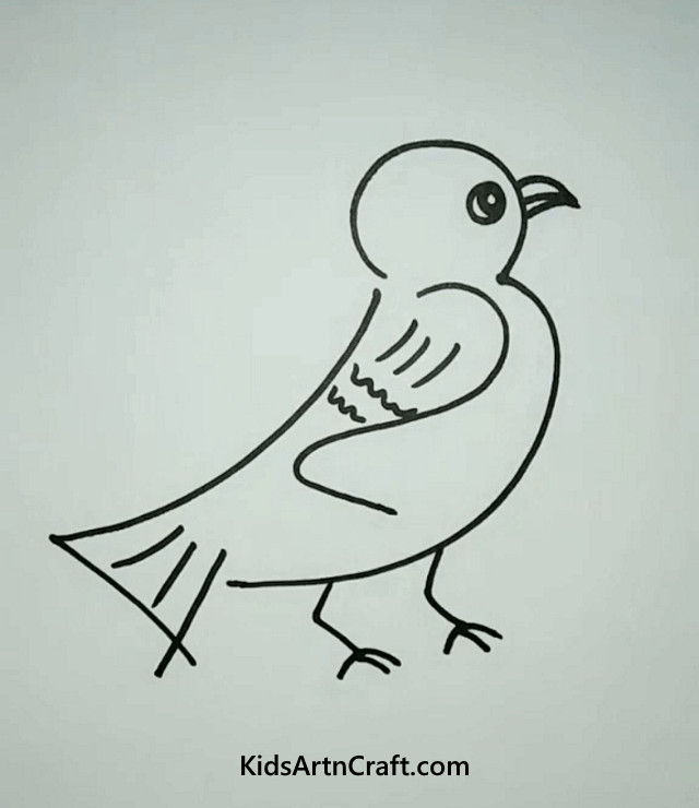 Beautiful Bird Drawings To Make At Home The Sweetest Cuckoo