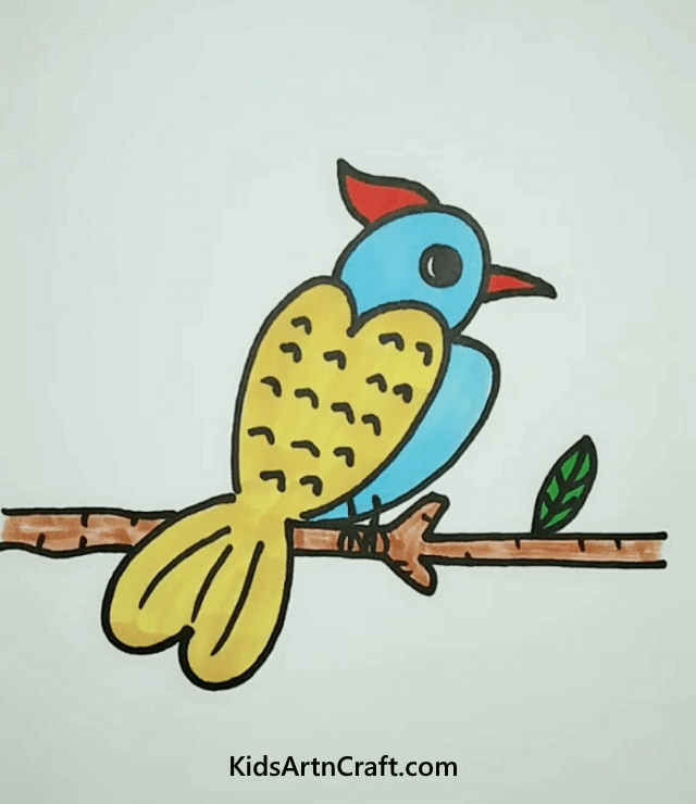 Beautiful Bird Drawings To Make At Home The Queen, Bluebird Of Paradise