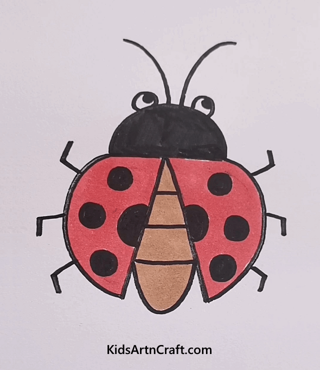 Easy Animal Drawings & Coloring for Kids Beetle