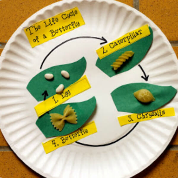 Life Cycle Of A Butterfly Learning Craft Ideas
