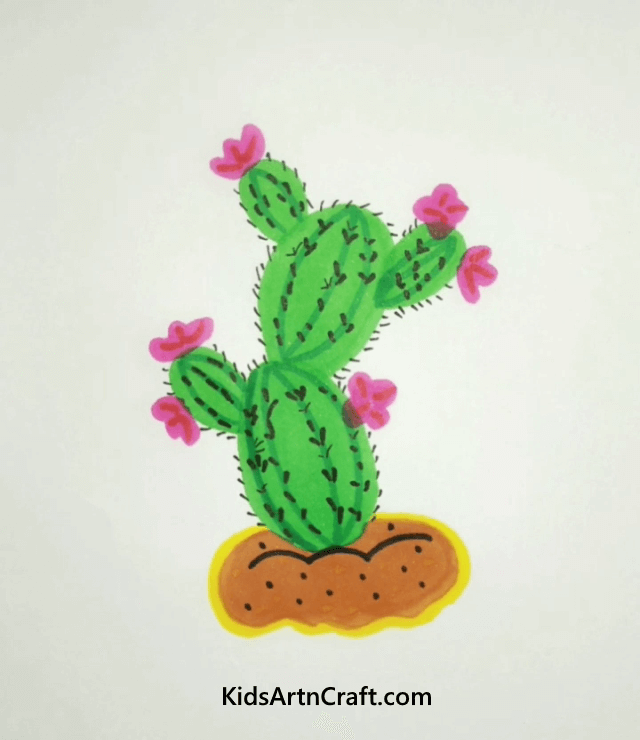 Drawing & Painting Inspirations from Nature Cactus Lets Take Drawing Inspirations from Nature