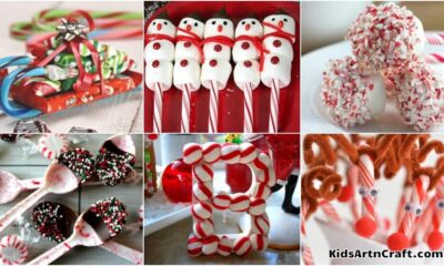 Candy Crafts And Treats For Kids