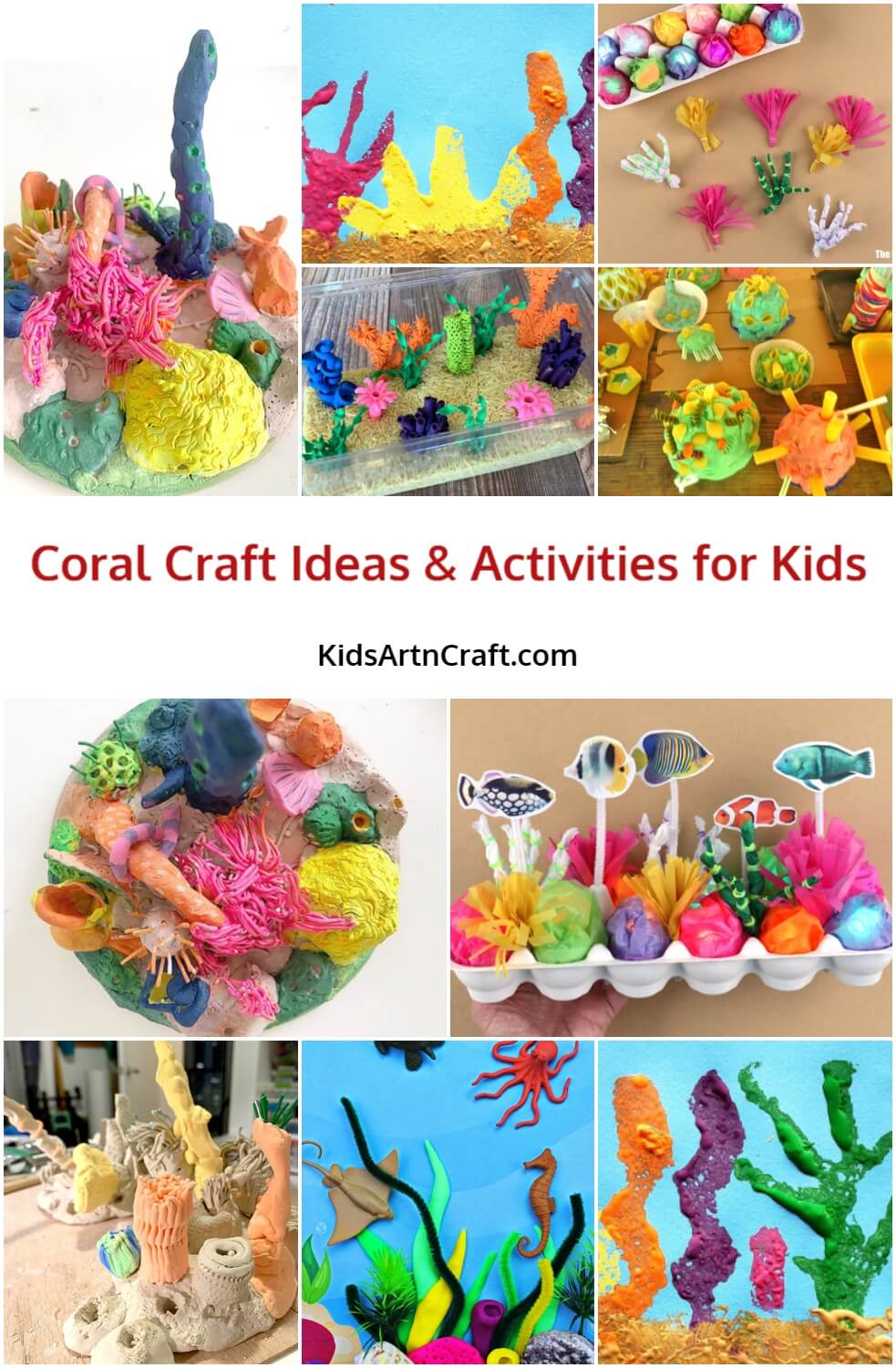 Coral Craft Ideas & Activities for Kids