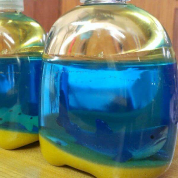 Shark Bottles