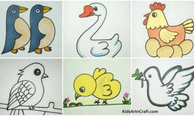 Easy Bird Drawings for Kids