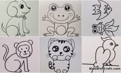 HT13 Easy Drawing Series For Kids