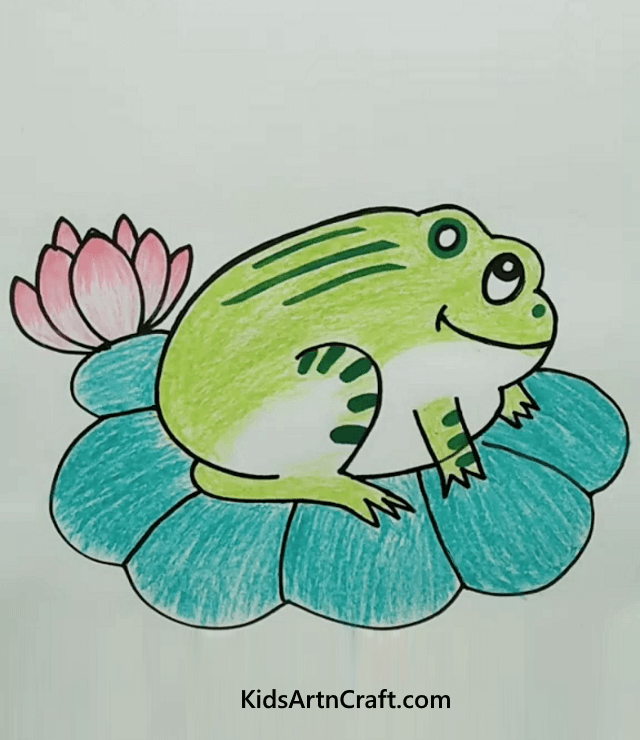 Frog Animal Drawing For Kids