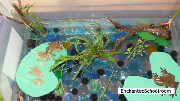 Frog Sensory Bin and Pond Unit Play Craft Ideas For Kids