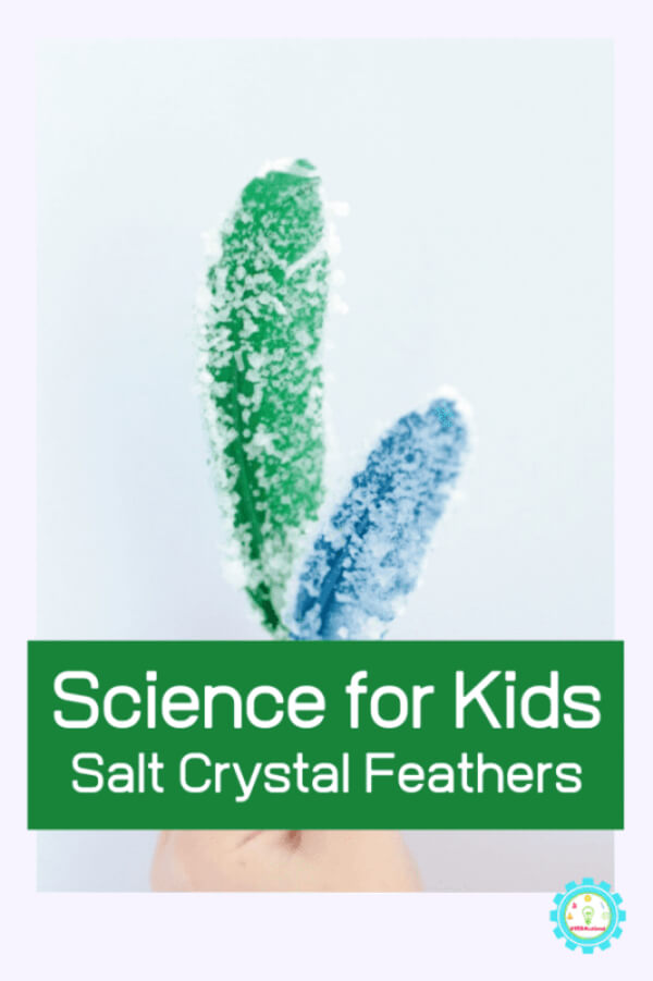 Let's Do Some Salt Feather Experiment
