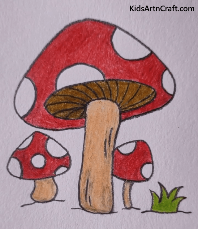 Simple Drawing Ideas For Kids Mushrooms