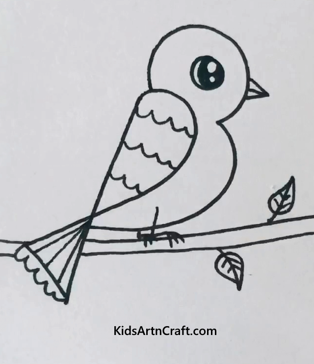  Easy Birds Drawings for Kids Sparrow Bird